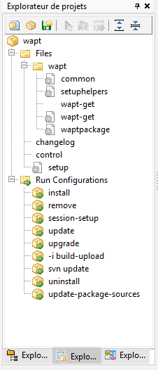 PyScripter - project explorer