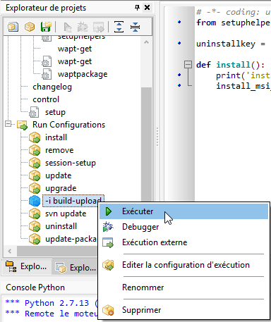 Option "-i build-upload" of PyScripter project