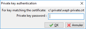 Entering the password for unlocking the private key in the WAPT Console